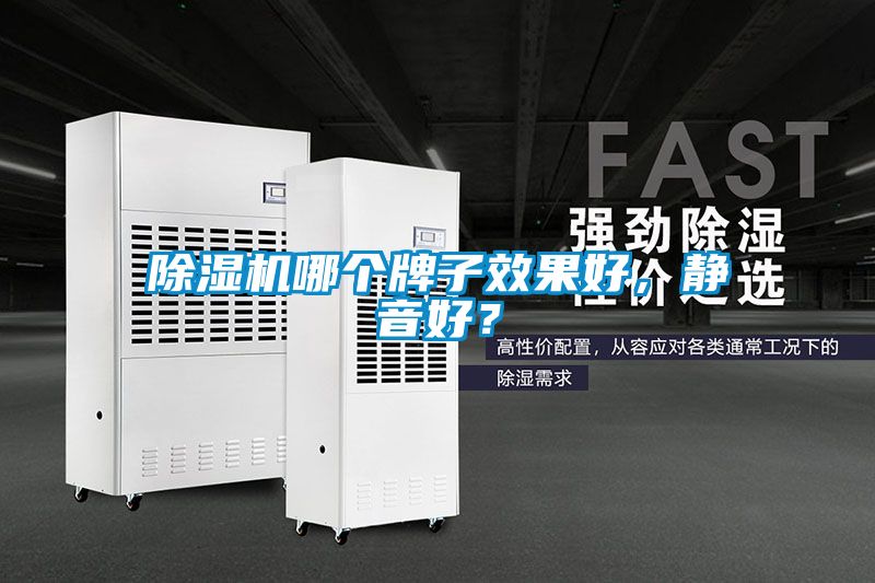 除濕機(jī)哪個牌子效果好，靜音好？