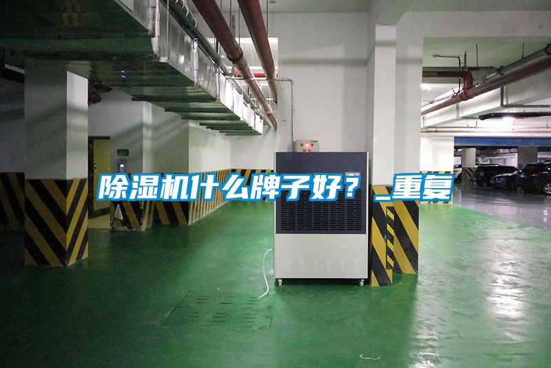 除濕機什么牌子好？_重復