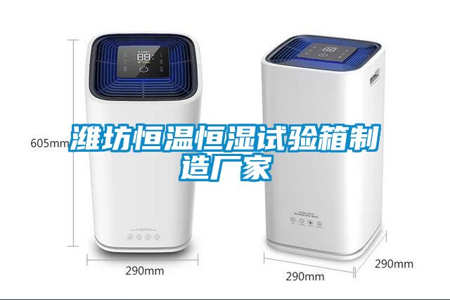濰坊恒溫恒濕試驗(yàn)箱制造廠(chǎng)家