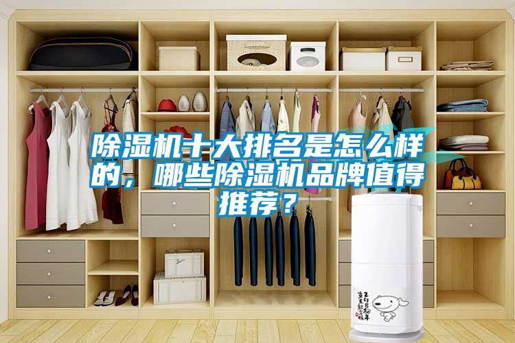 除濕機十大排名是怎么樣的，哪些除濕機品牌值得推薦？
