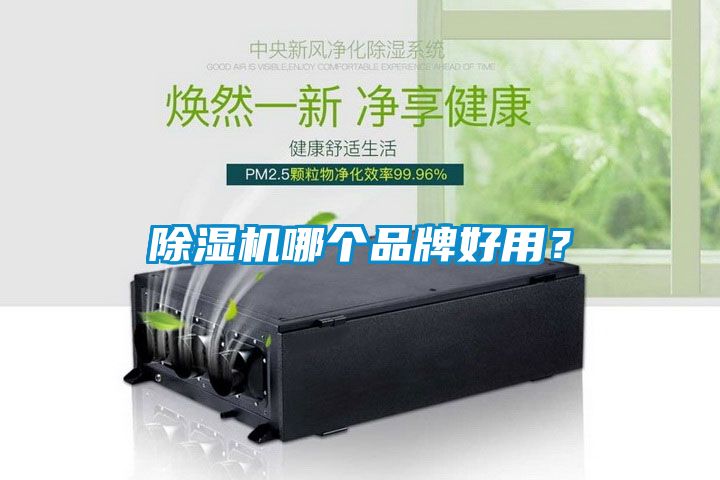 除濕機(jī)哪個(gè)品牌好用？
