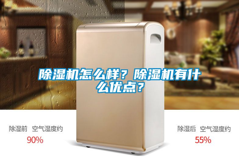 除濕機(jī)怎么樣？除濕機(jī)有什么優(yōu)點(diǎn)？