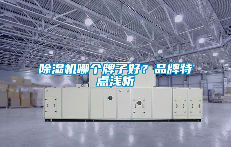 除濕機哪個牌子好？品牌特點淺析