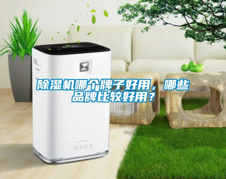 除濕機(jī)哪個(gè)牌子好用，哪些品牌比較好用？