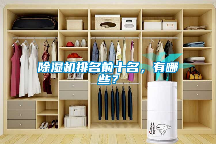 除濕機(jī)排名前十名，有哪些？