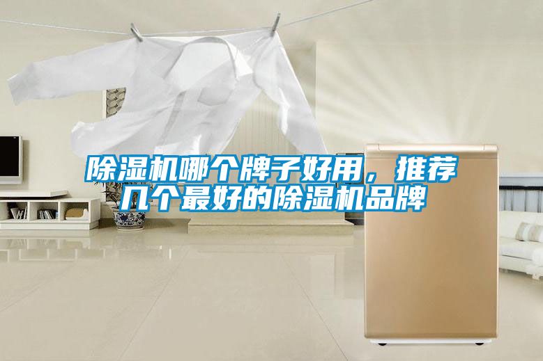 除濕機哪個牌子好用，推薦幾個最好的除濕機品牌