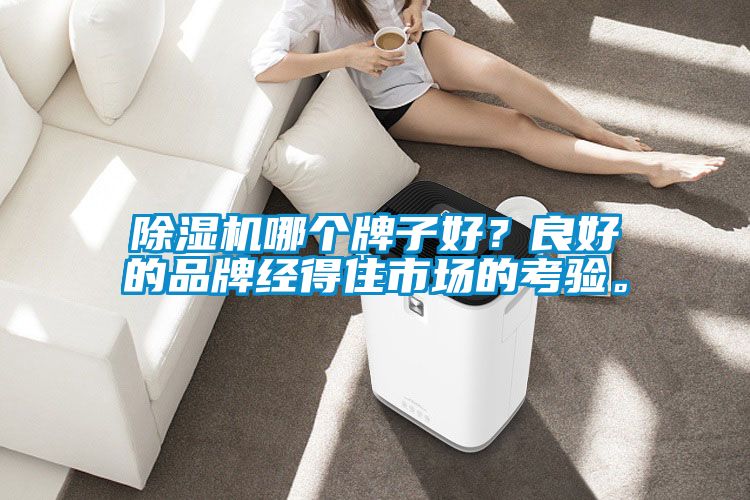 除濕機哪個牌子好？良好的品牌經(jīng)得住市場的考驗。