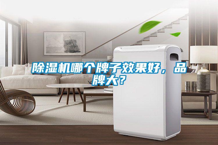 除濕機哪個牌子效果好，品牌大？