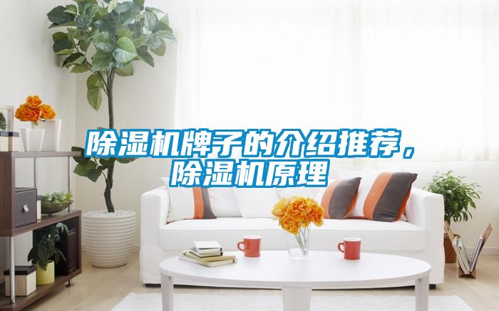 除濕機(jī)牌子的介紹推薦，除濕機(jī)原理