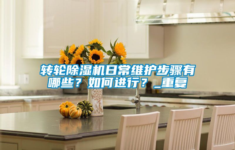 轉(zhuǎn)輪除濕機日常維護步驟有哪些？如何進行？_重復