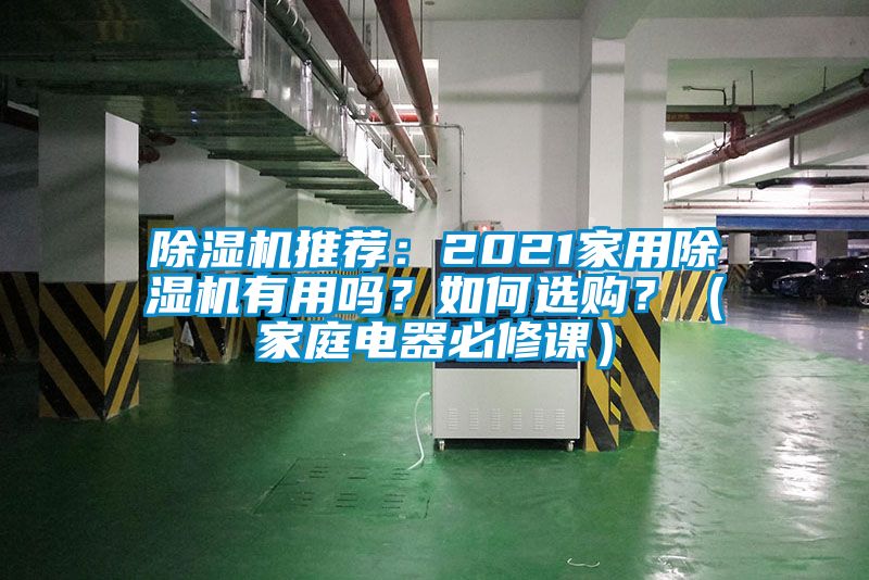 除濕機(jī)推薦：2021家用除濕機(jī)有用嗎？如何選購(gòu)？（家庭電器必修課）