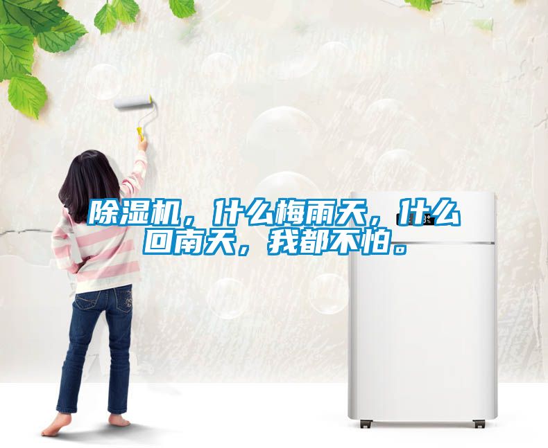 除濕機，什么梅雨天，什么回南天，我都不怕。