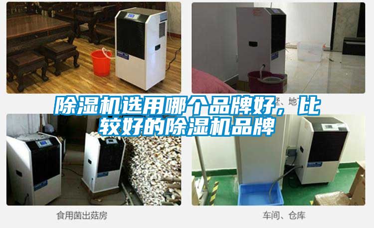除濕機(jī)選用哪個(gè)品牌好，比較好的除濕機(jī)品牌