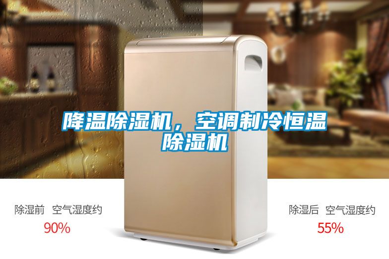 降溫除濕機(jī)，空調(diào)制冷恒溫除濕機(jī)