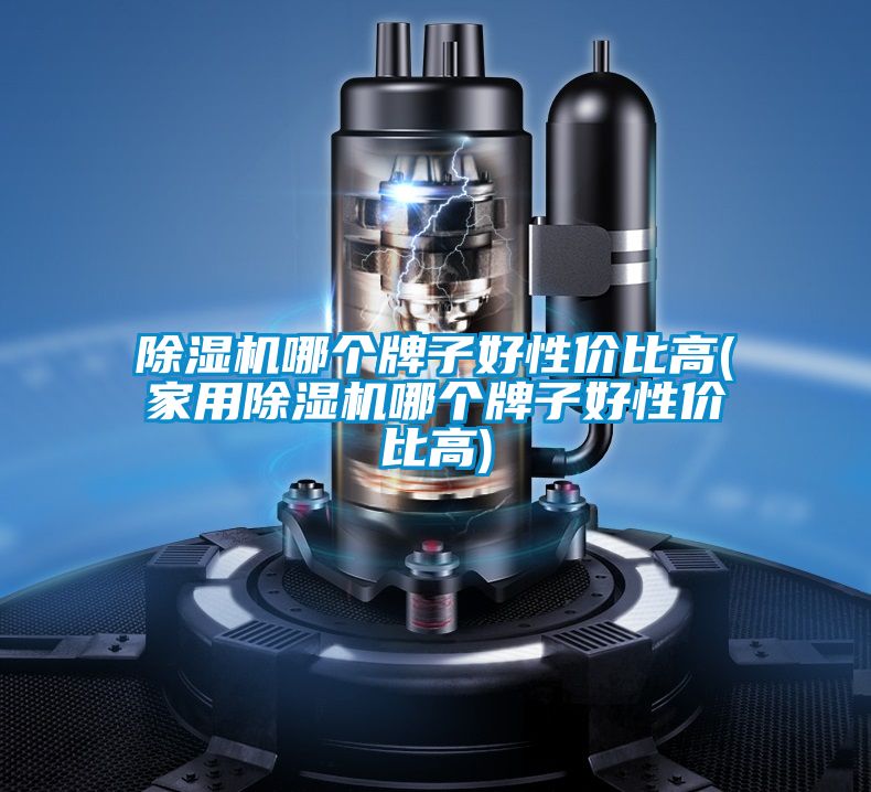 除濕機(jī)哪個牌子好性價比高(家用除濕機(jī)哪個牌子好性價比高)