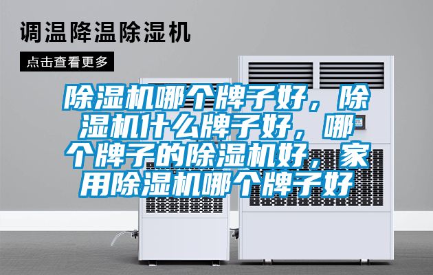 除濕機哪個牌子好，除濕機什么牌子好，哪個牌子的除濕機好，家用除濕機哪個牌子好