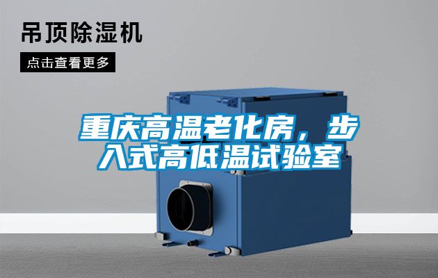 重慶高溫老化房，步入式高低溫試驗室
