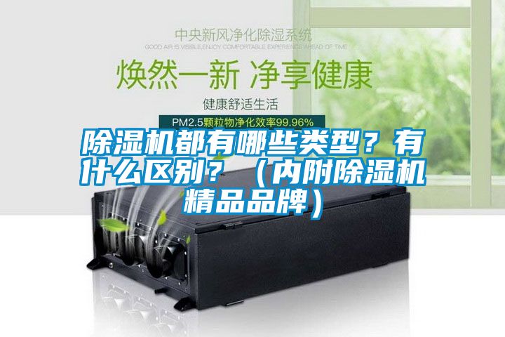 除濕機(jī)都有哪些類型？有什么區(qū)別？（內(nèi)附除濕機(jī)精品品牌）