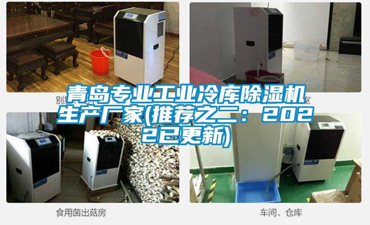 青島專業(yè)工業(yè)冷庫除濕機(jī)生產(chǎn)廠家(推薦之二：2022已更新)
