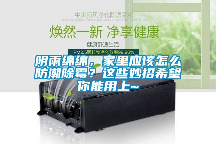 陰雨綿綿，家里應(yīng)該怎么防潮除霉？這些妙招希望你能用上~