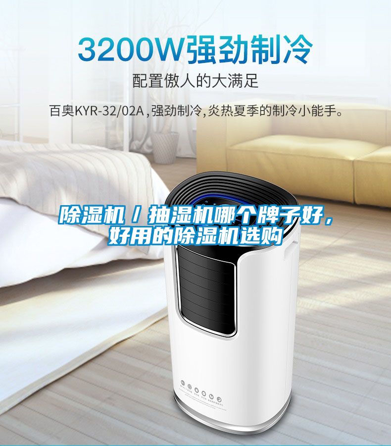 除濕機／抽濕機哪個牌子好，好用的除濕機選購