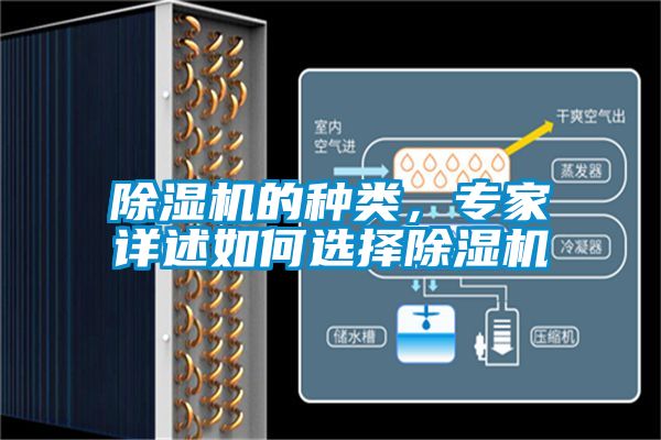 除濕機(jī)的種類(lèi)，專(zhuān)家詳述如何選擇除濕機(jī)