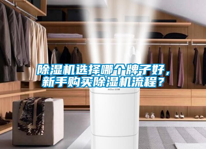 除濕機(jī)選擇哪個(gè)牌子好，新手購買除濕機(jī)流程？